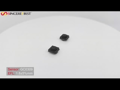 62 Grad 0.3MP 24 Pin VGA DVP Festfokus CMOS Kamera Modul GC0309