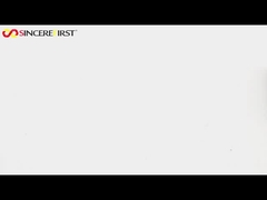 OmniVision Sensor Micro MIPI CCTV Kameramodul